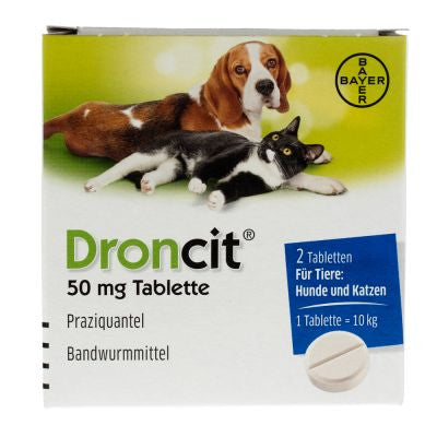 Droncit cane e gatto