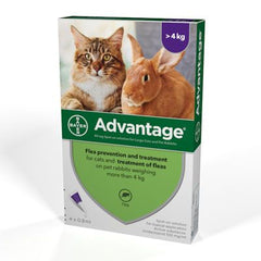 Advantage 80 - Gatti con peso uguale o superiore a 4 kg
